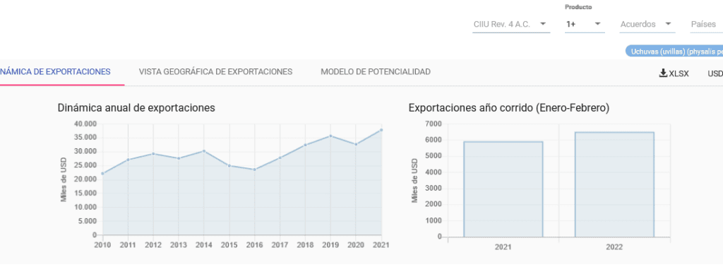 exportaciones de uchuvas